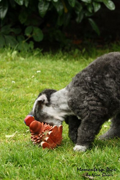 Antares 2009-07-12 (20).JPG